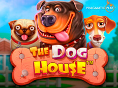 Nuhun köpekleri. Free casino games slot machines.2